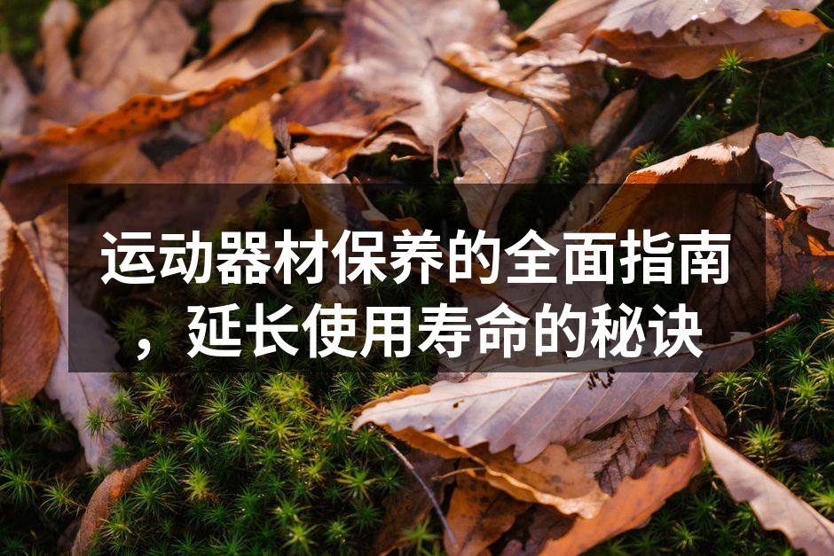 运动器材保养的全面指南，延长使用寿命的秘诀